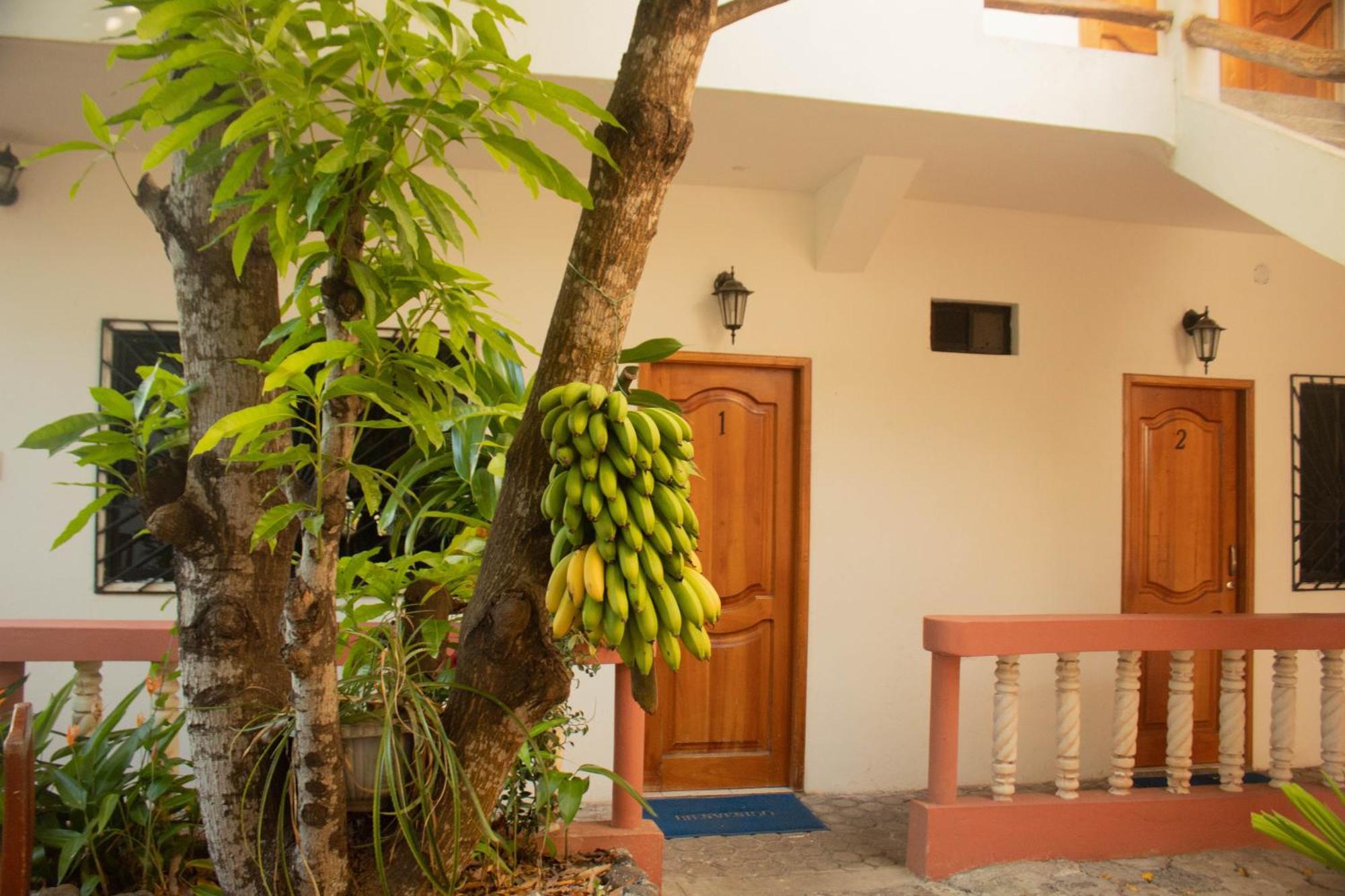 Casa De Nelly Hotel ปูแอร์โต บาเกริโซ โมเรโน ภายนอก รูปภาพ